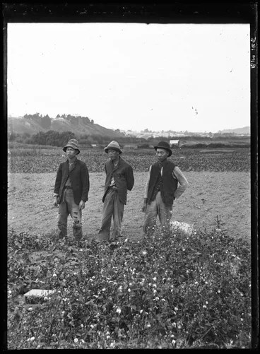 Image: Chinese market gardens, Great North Road, Western Springs
