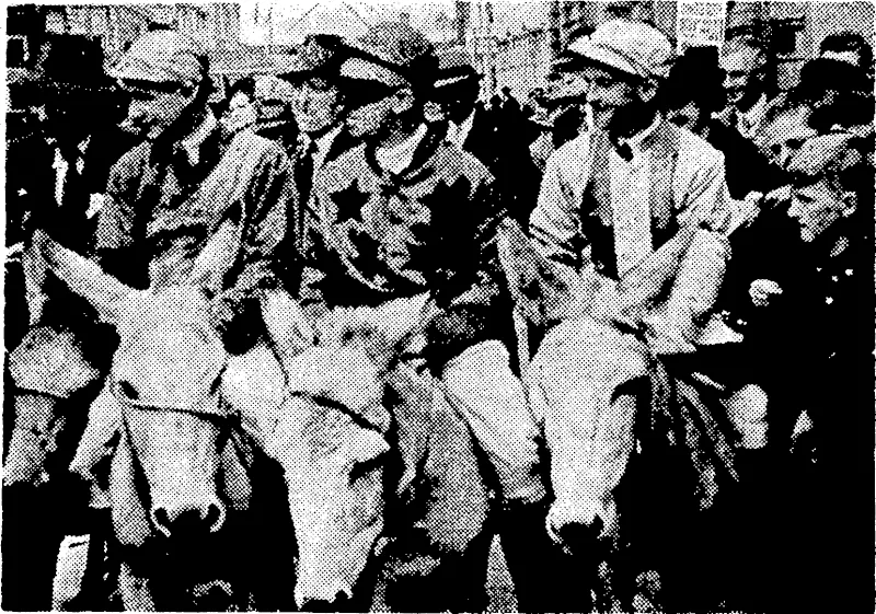 E. T. Robson Photo. Lined up for the start of the "Donkey Derby." which created a lot of fun for a large crowd yesterday afternoon near the Air Raid Shelter in Featherston Street. The winner, J. Ellis, is on the right. (Evening Post, 15 March 1941)