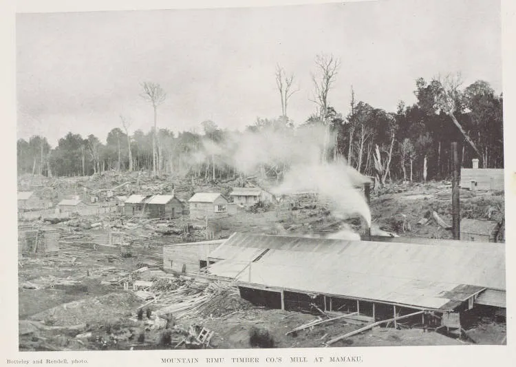 Mountain Rimu Timber Co.'s mill at Mamaku