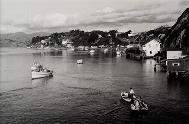 Image: Porirua Harbour