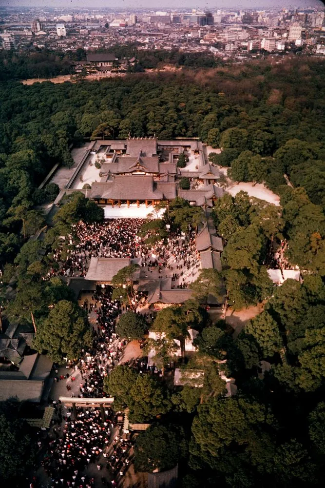 Japan Series: Tokyo Meiji Shrine