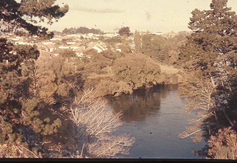 Slide - Hayes Paddock, Hamilton