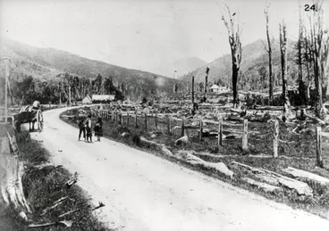 Image: Hutt Valley History 24; Land Clearing and flooding 1; cleared land