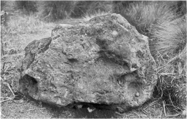 The Waitaki “Mystery” Stone