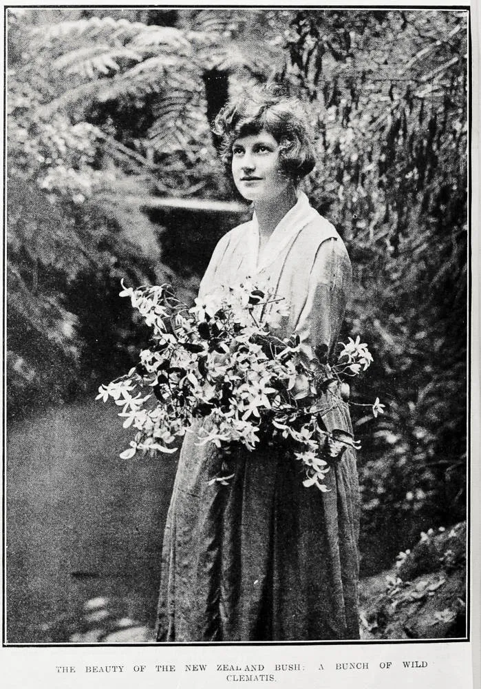 The beauty of the New Zealand bush: a bunch of wild clematis