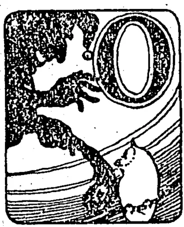 Image: Untitled Illustration (NZ Truth, 17 December 1925)