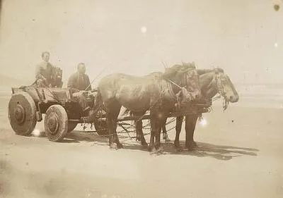 [Goldie Riding on a Horse-drawn Carriage ...]