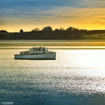 New Zealand Sunrise in Tauranga Image: New Zealand Sunrise in Tauranga