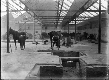 Image: New Zealand Army shoeing smith at work in Beauvois, France, World War I