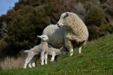 Image: Spring Time Stretch