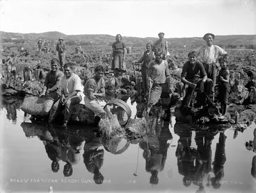 Image: Kauri gum diggers