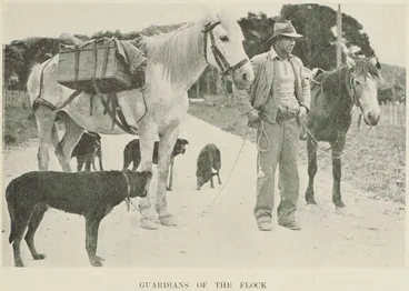 Image: A drover with his horses and dogs near Tokomaru Bay