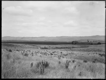Image: Pukehou swamp and Napier railway line