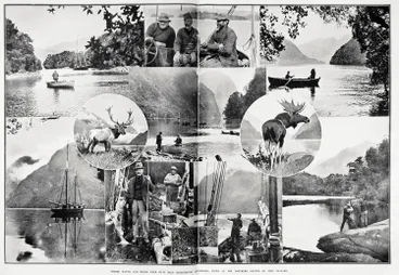 Image: Where Wapiti and Moose Deer have been successfully established: views in the Southern Sounds of New Zealand