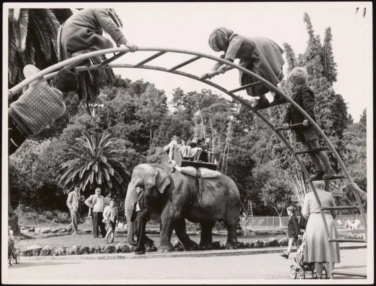 Children riding on an elephant at Auckland Zoo, 1960