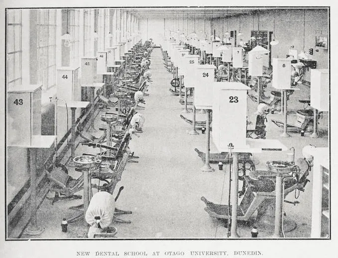 New Dental School At Otago University, Dunedin