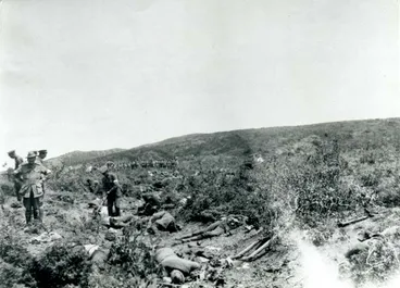 Image: Gallipoli armistice