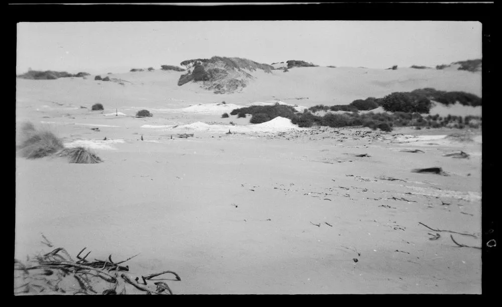 Old middens at old pa-site, near mouth of Waikawa River