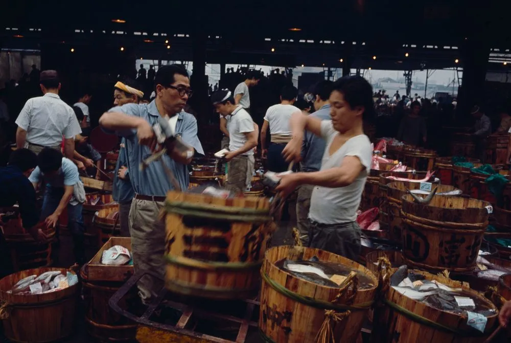 Japan series: Tokyo fish market