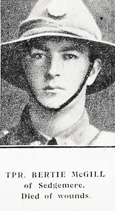 Tpr. Bertie McGill, of Sedgemere, Died of wounds