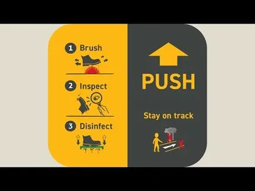 Image: Prevent the spread of kauri dieback disease