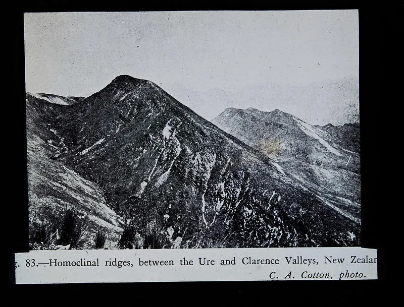 Fig. 83.- Homoclinal ridges, between the Ure and Clarence Valleys, New Zealand