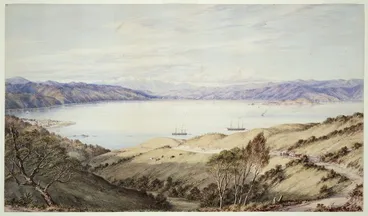 Image: Barraud, Charles Decimus 1822-1897 :[Wellington from Kelburn] 1870