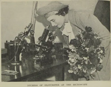 Image: Duchess of Gloucester at the microscope
