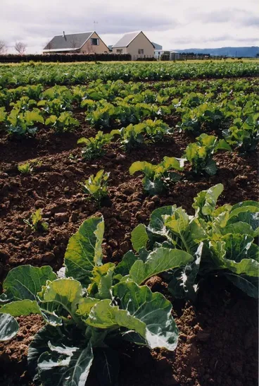 Image: A Levin Market Garden