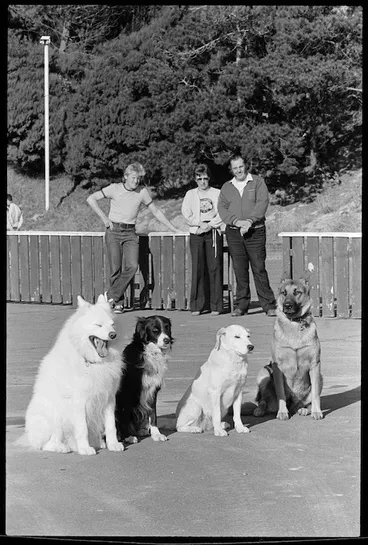Image: Obedience training for dogs - Photograph taken by Merv Griffiths