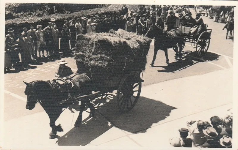 Dufty Bell leading a horse-drawn wagon carrying jogs of hay followed by Cecil Somerville-Culver driving a gig during the 1947 Centennial Parade.