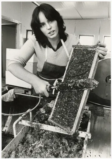 Image: Vicky Basher with honey frame