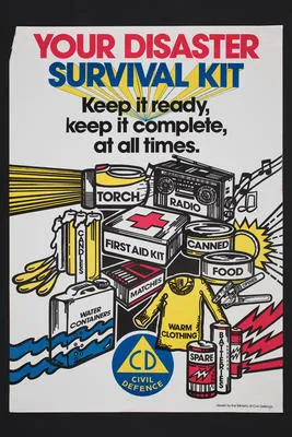 Your disaster survival kit