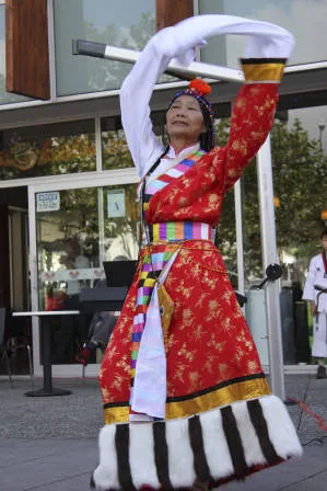 Performances at Chinese New Year, 2014.