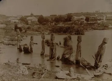 Image: Pallisades of the sunken pah, Ohinemutu