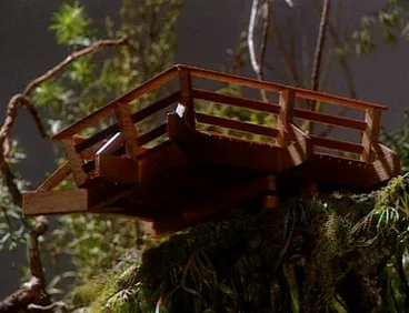 Image: Cave Creek: The Full Story of a National Tragedy