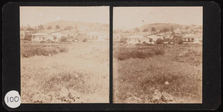 Mount Albert from Morningside