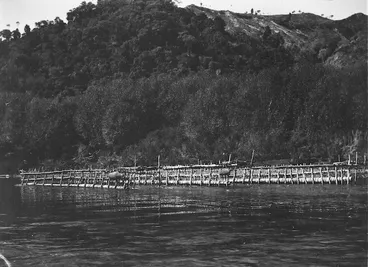 Image: Eel nets on the Whanganui River