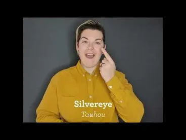 Image: New Zealand sign language - silvereye