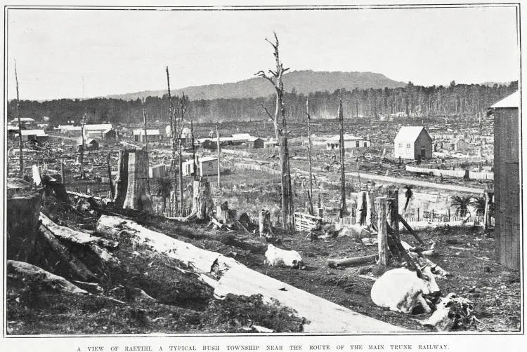 A VIEW OF RAETIHI. A TYPICAL BUSH TOWNSHIP NEAR THE ROUTE OF THE MAIN TRUNK RAILWAY