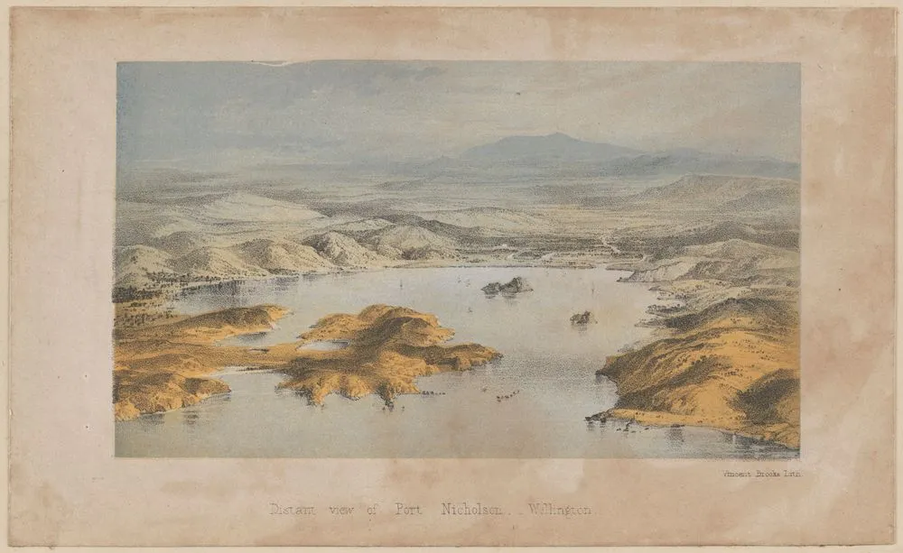 Distant view of Port Nicholson, Wellington