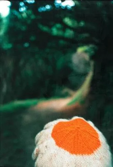 Image: Wellington (Path)