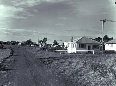 Papatoetoe State housing.