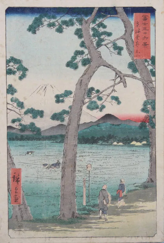 Tokaido Hidari Fuji.