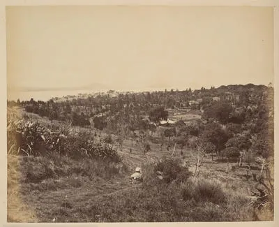 Auckland. View from the Domain.