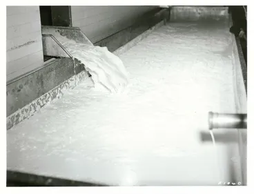 Image: Cheese Manufacture