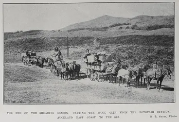 Image: The end of the shearing season