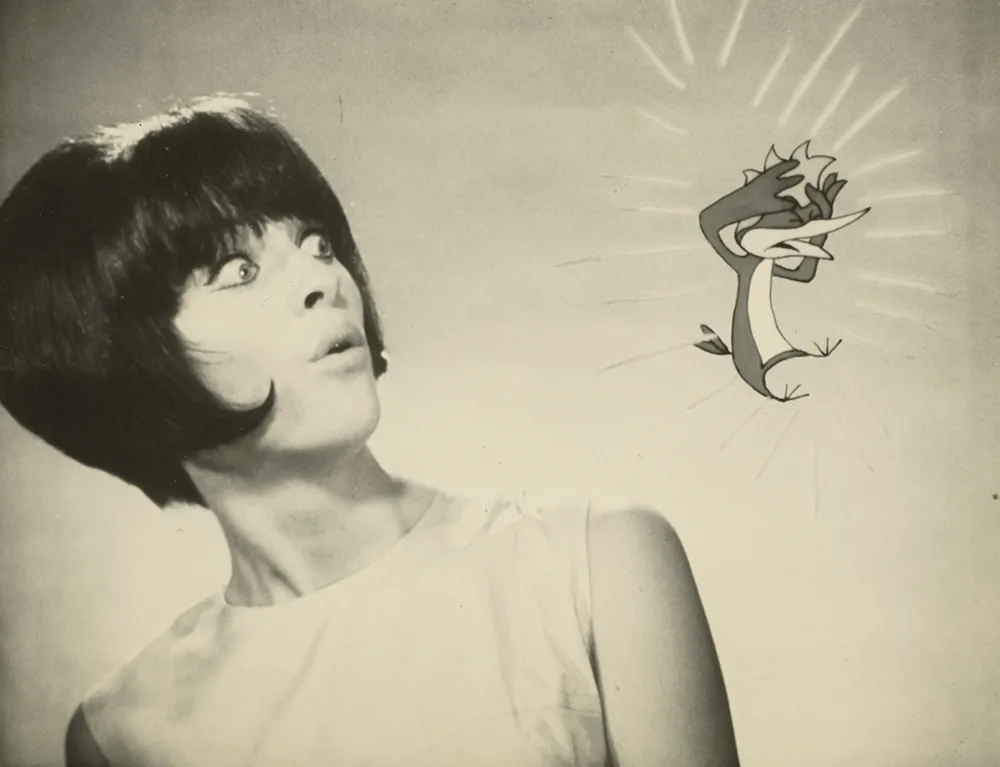 TV Commercial - Shacklock Conray Heaters