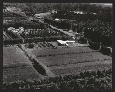 Image: Hardcastle Photographs (25)