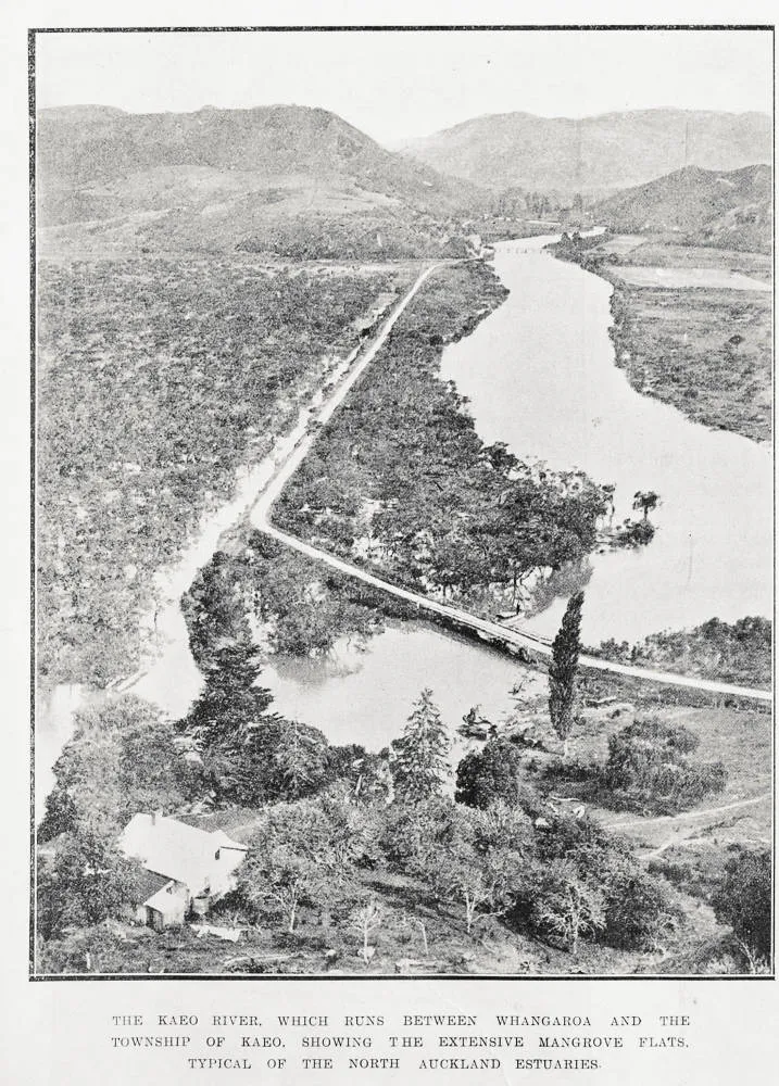 The Kaeo River, which runs between Whangaroa and the township of Kaeo